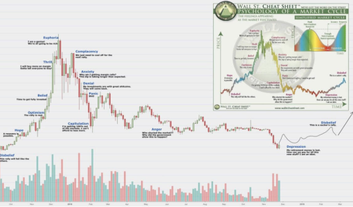 Cryptocurrency extinction. What projects will survive and continue their development?