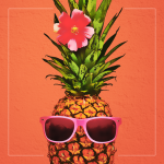 h2h-orange.png