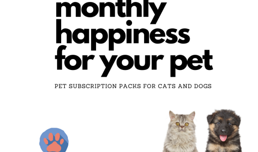 Paw Pack Launches its Customizable Themed Gift Box Subscription for Cats and Dogs