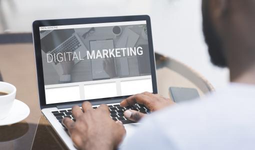Mint Stalk Insights - The Future of Digital Marketing in the UAE