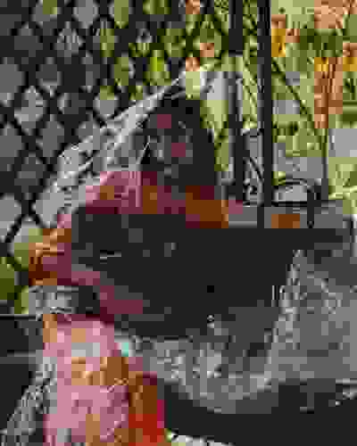 dsc08805.jpg