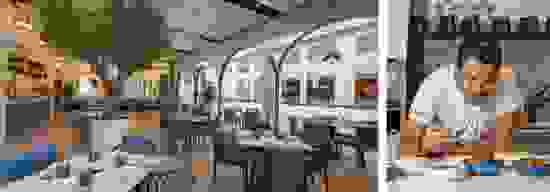kronfol-1.jpeg