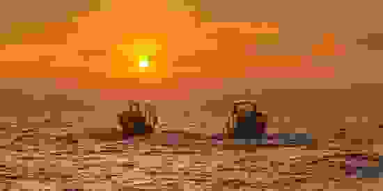 tyb_press_.jpg