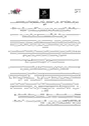 sensasia_the-school-run_ar.pdf